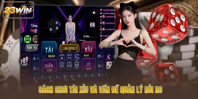 Cách chơi tài xỉu và vấn đề quản lý rủi ro