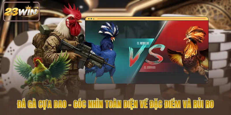 Đá gà cựa dao góc nhìn toàn diện về đặc điểm và rủi ro