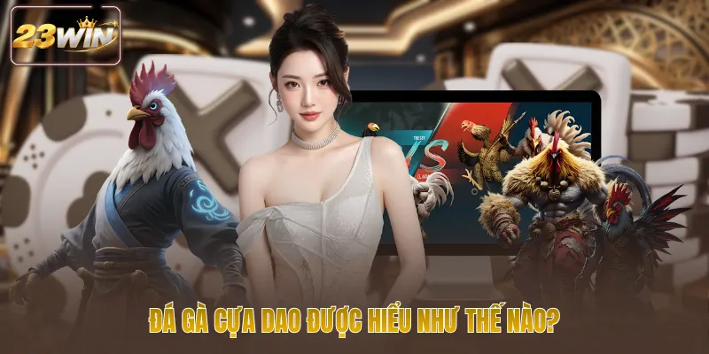 Đá gà cựa dao được hiểu như thế nào