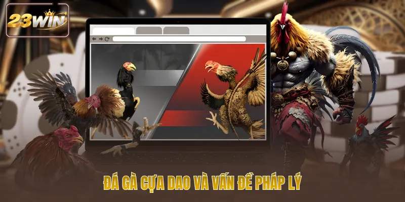 Đá gà cựa dao và vấn đề pháp lý