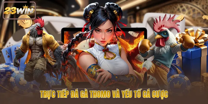 Trực tiếp đá gà Thomo và yếu tố cá cược